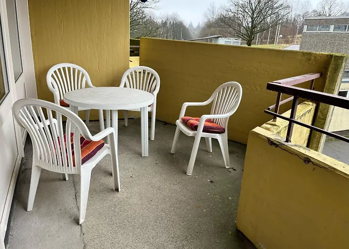 218 公寓 Hohegeiß